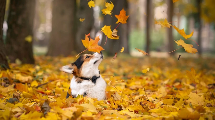 Синоптики прогнозируют солнечный и теплый четверг