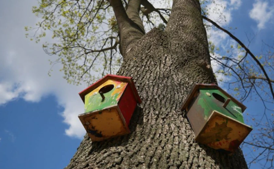 В Украине будет прохладно и сухо, возможны заморозки