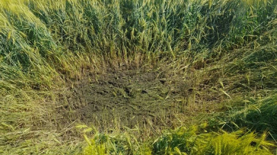 Прикордонники збили ворожий дрон із вибухівкою