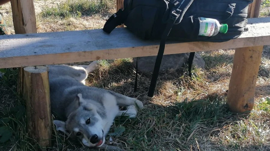 Синоптики предупреждают о рисках пожаров, осень начнется жарой