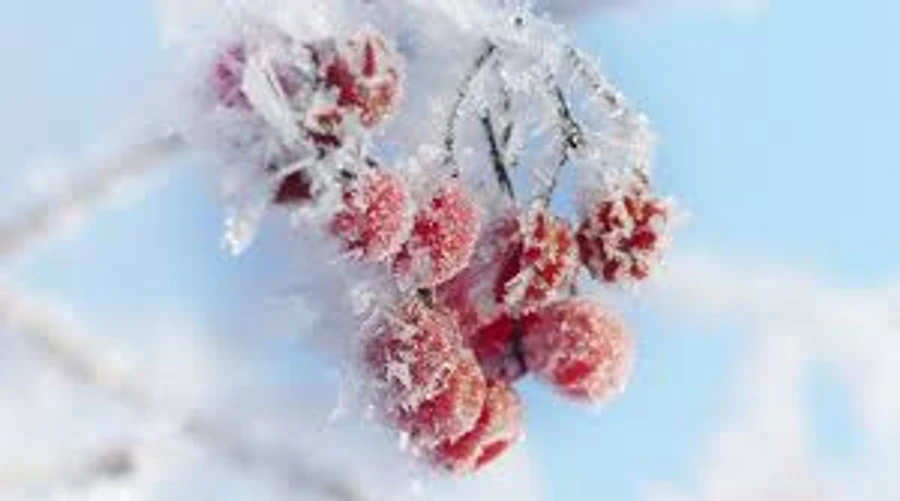 Неделя начнется с 18 градусов мороза