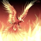 Wings Phoenix