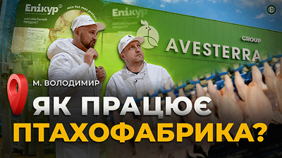 ВІДЕО: Інвестували 60 000 000 євро в курей – як працює Avesterra Group? / Епікур, Чабатурочка, Delika
