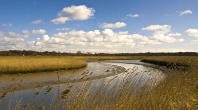 Невидима загроза: хто і як розміновуватиме річки та моря України