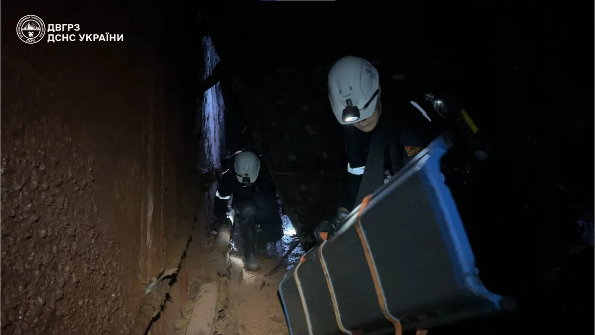 The rescue operation. Photo: SES