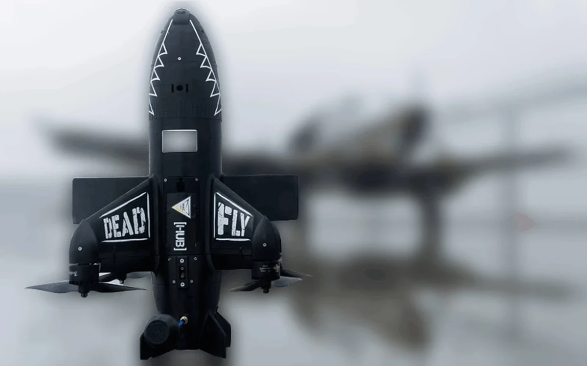 MAC Dead Fly