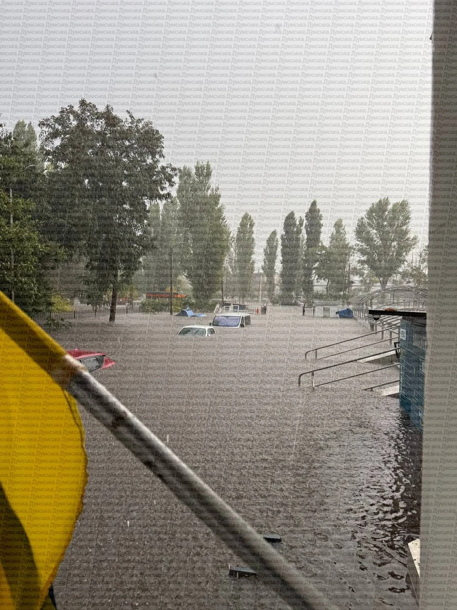 Фото - Думська