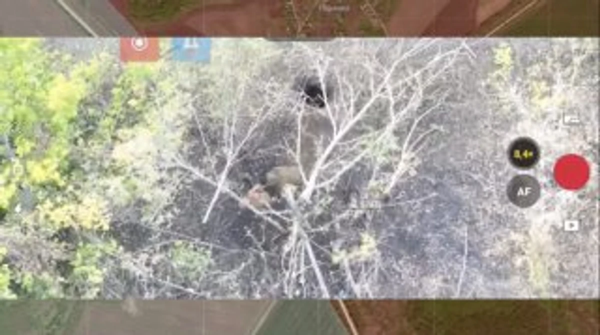 Один з отворів у газопроводі, з якого вилазить російський військовий. Скриншот з відео, оприлюдненого українськими осінтерами DeepState 12 вересня 2025 року