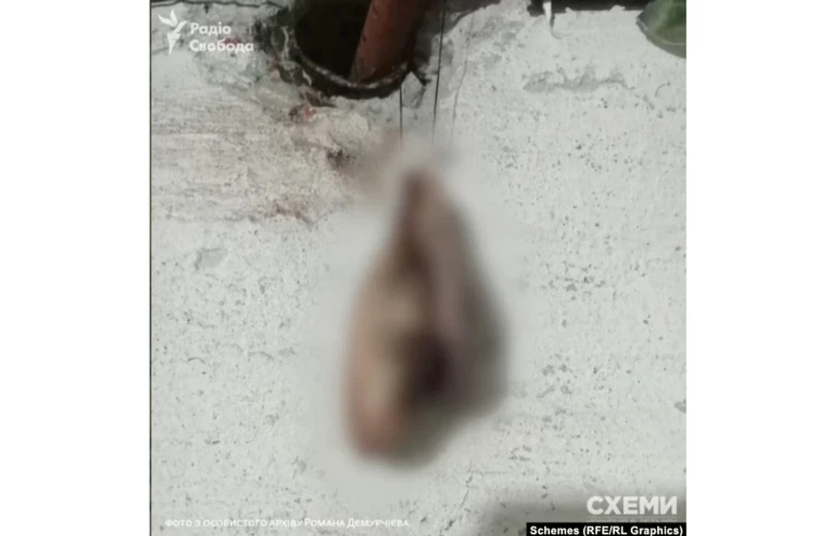 Severed human ears strung on a cord