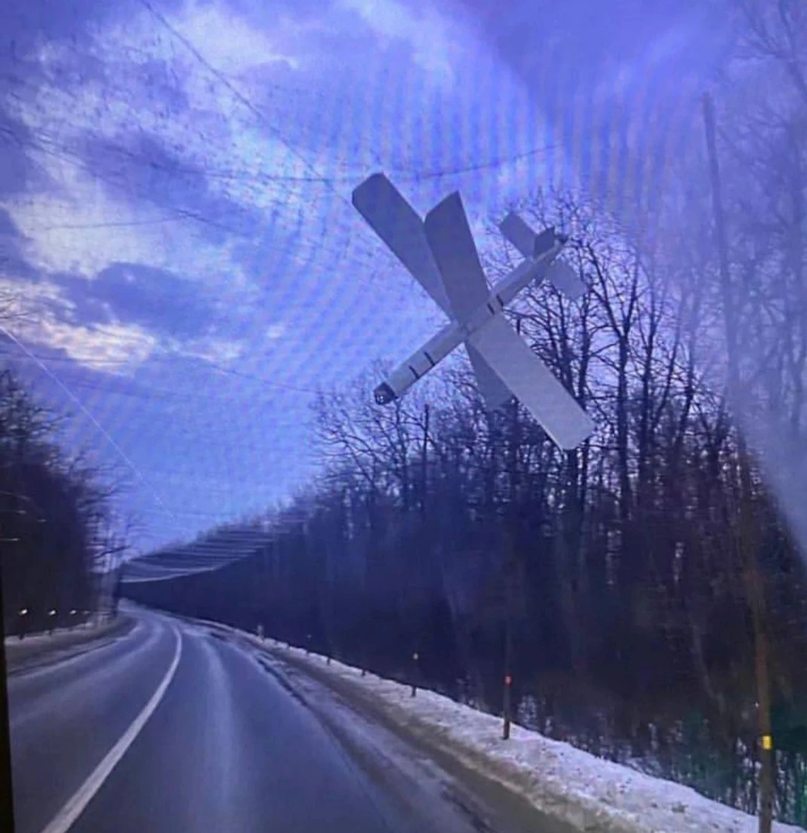 A Lancet tangled in a net