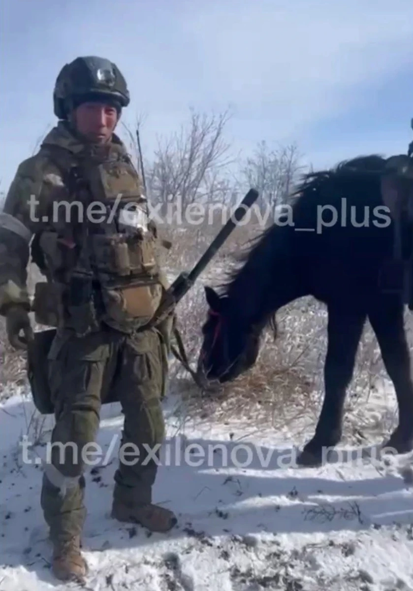 A Russian soldier alongside his horse in the combat zone.