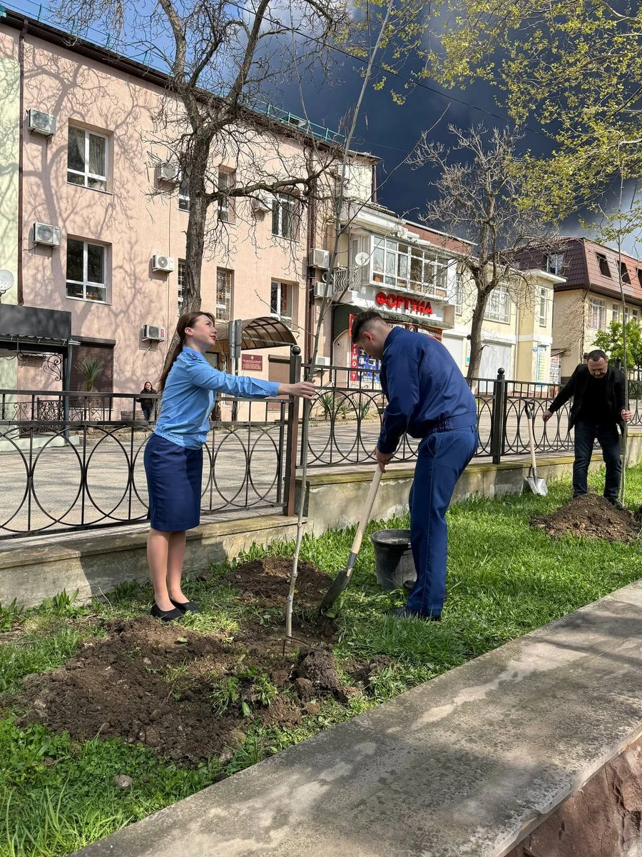 Promotores plantando árvores.