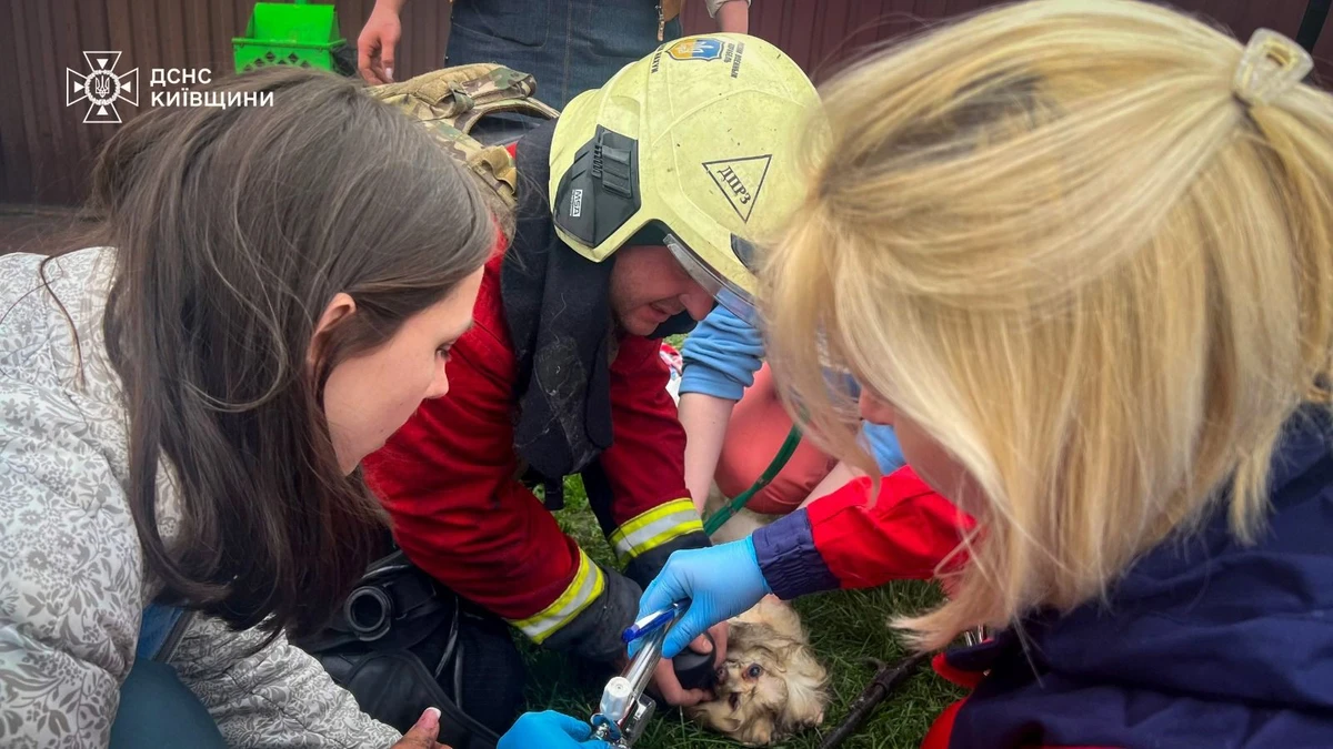 Photo: State Emergency Service of Ukraine on Facebook