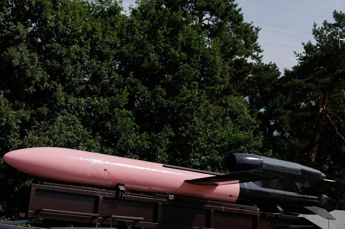 A model of the Flamingo missile in pink