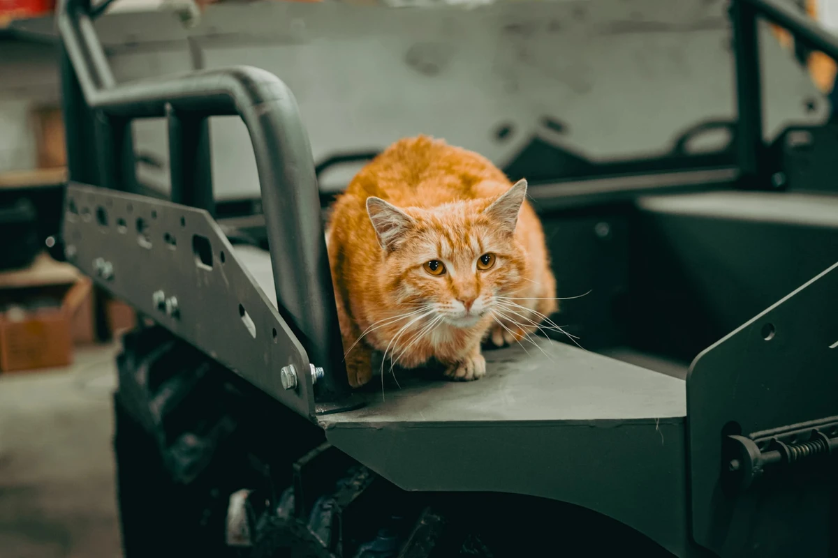 The Boss, Rovertech's chief production engineer