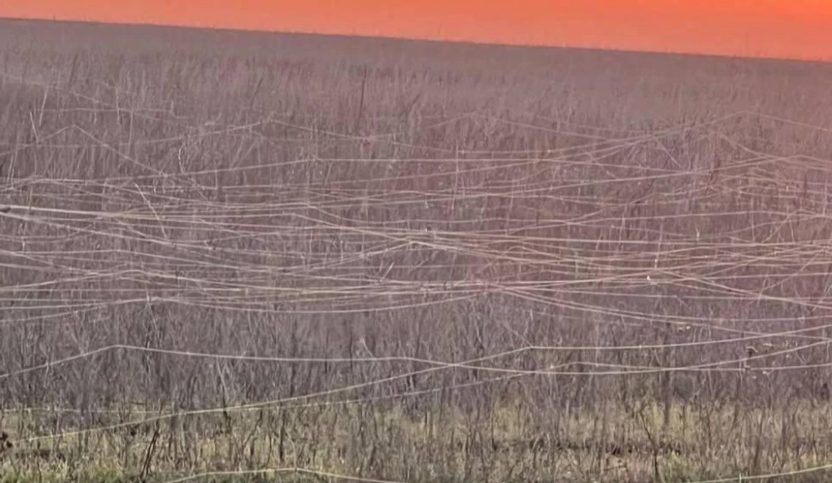 A field covered with fibre-optic cables.