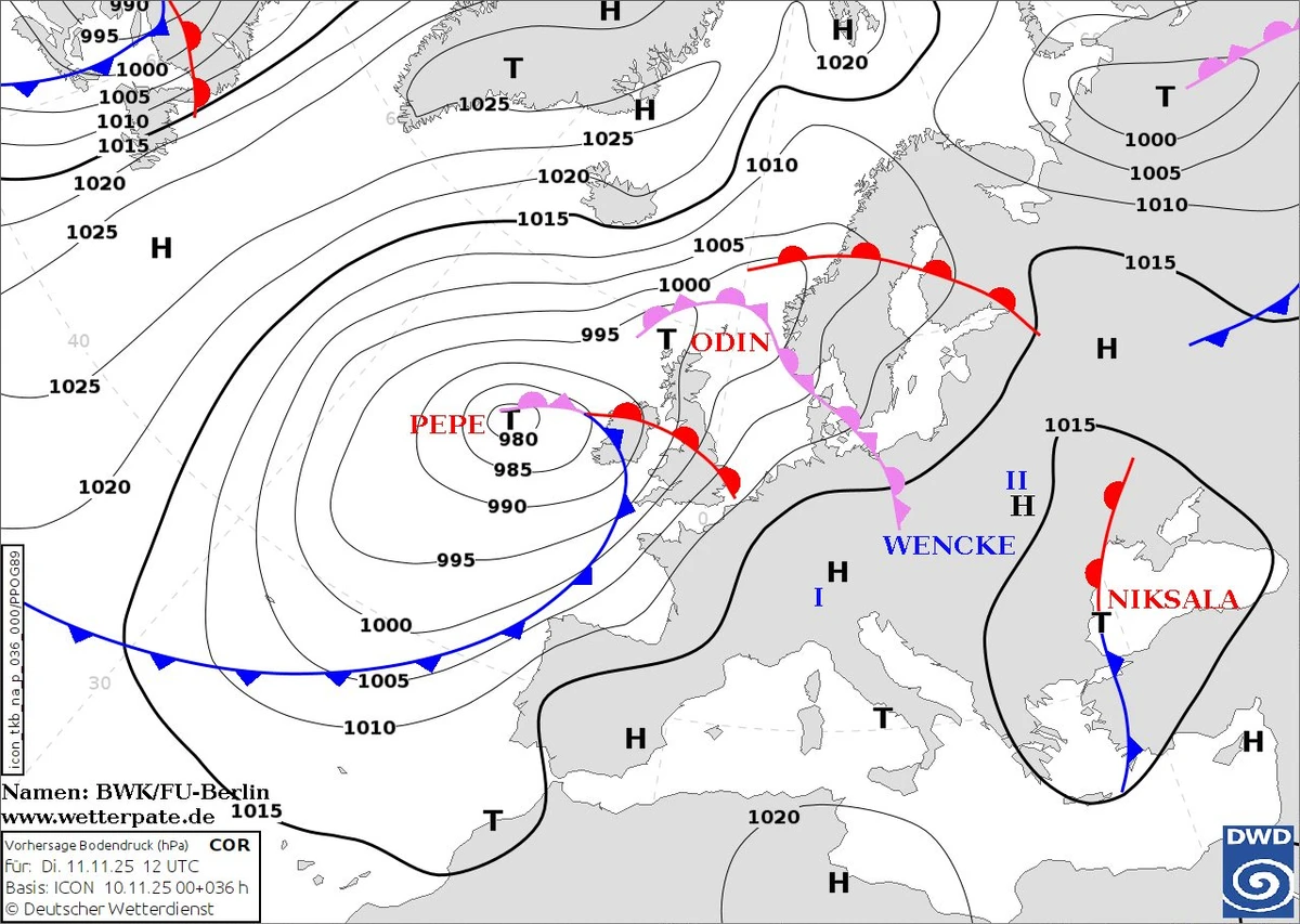 Фото: Наталка Діденко / Facebook