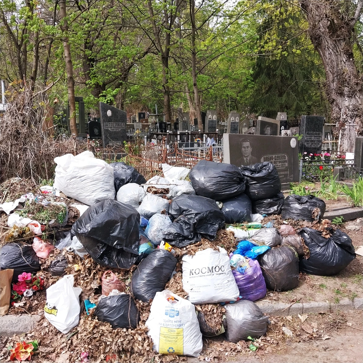 Деякие участки Байкового напоминают свалку