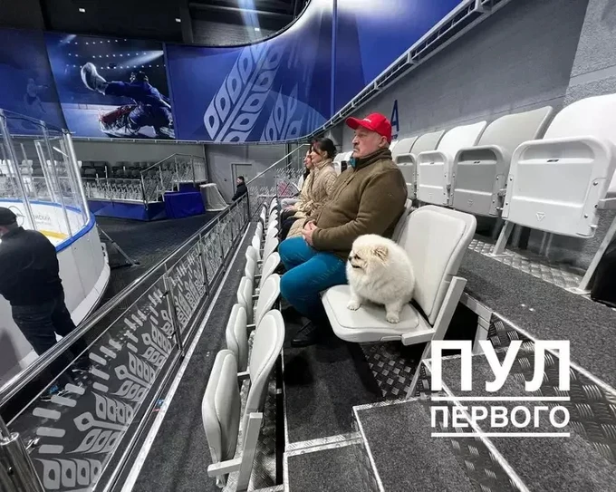Шпіц Лукашенка на хокеї в Мінську 3 травня 2023 року. Фото: телеграм-канал Пул первого