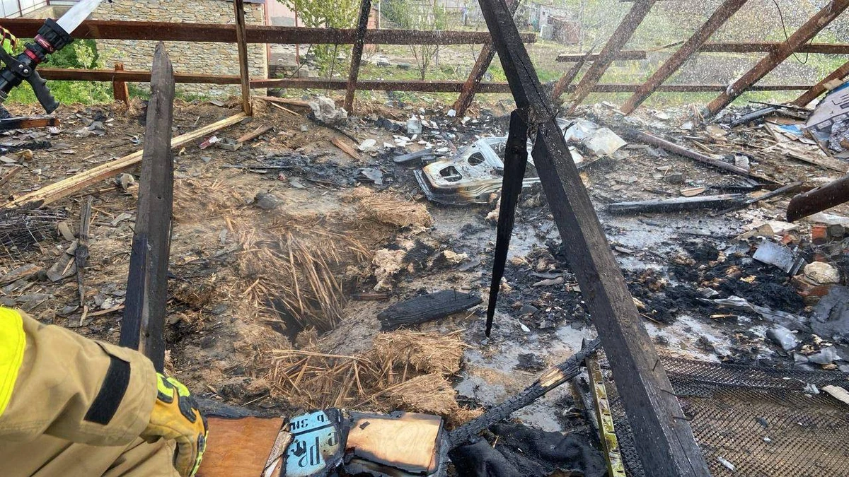 фото: Николаевская ОВА