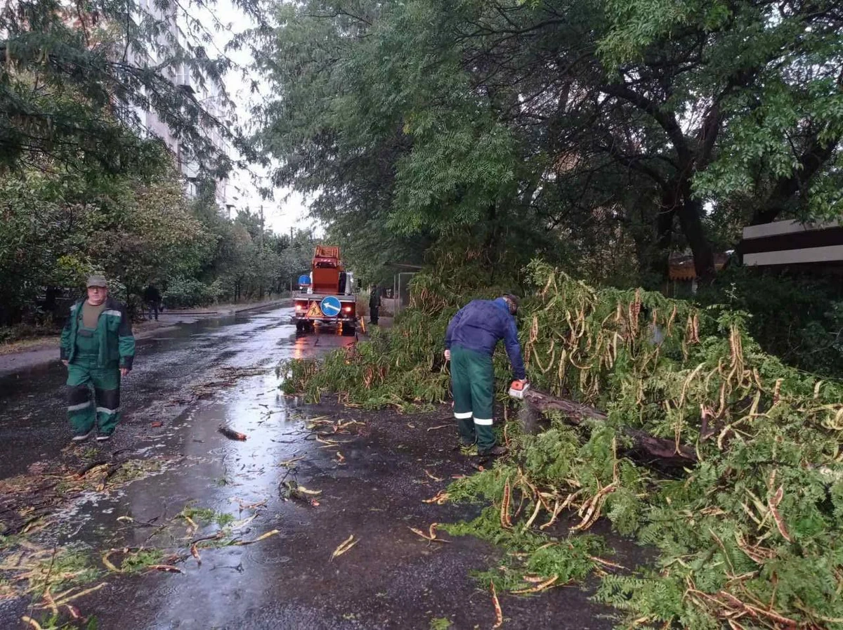 Фото - Думська