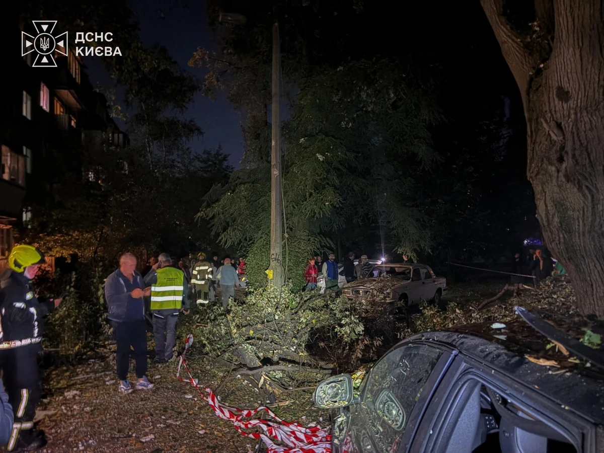 Шевченківський район