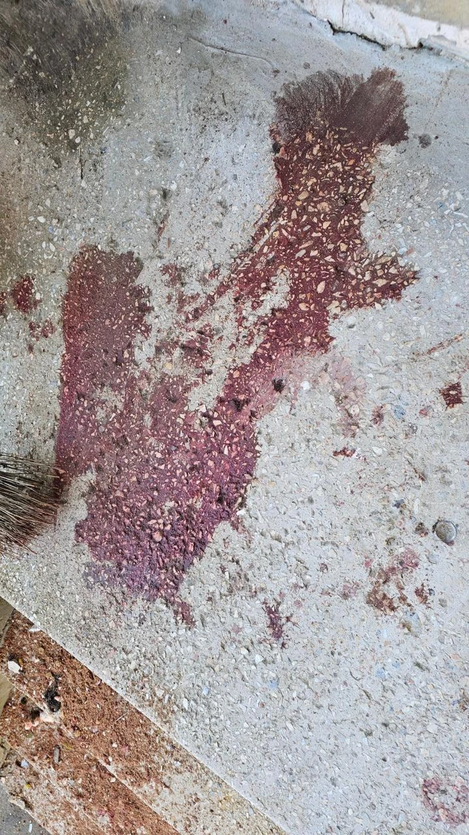 фото: Херсонська ОВА