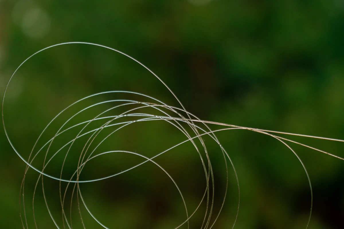 A fibre-optic cable.