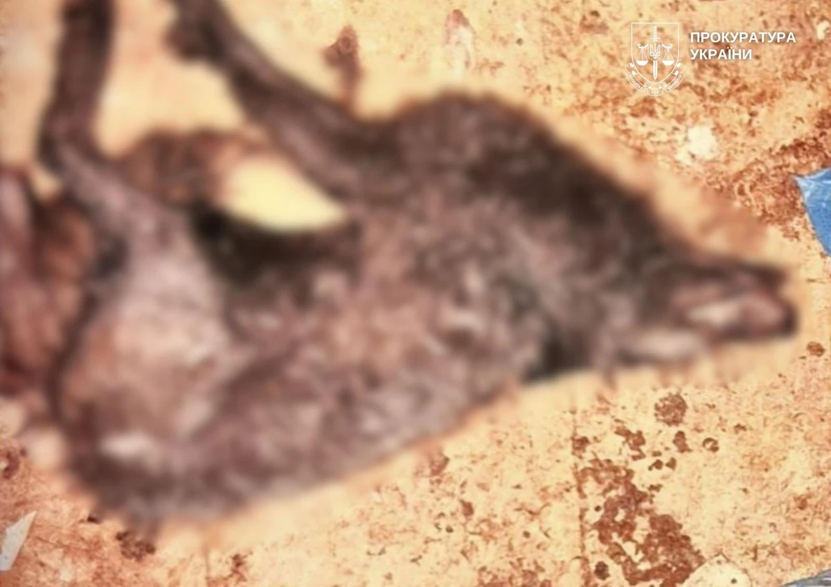 фото прокуратури