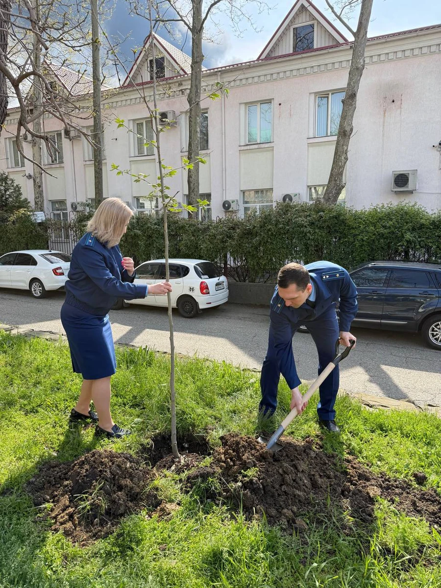 Promotores plantando árvores.