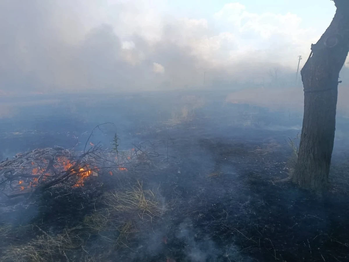 The crops ablaze after Russian attacks