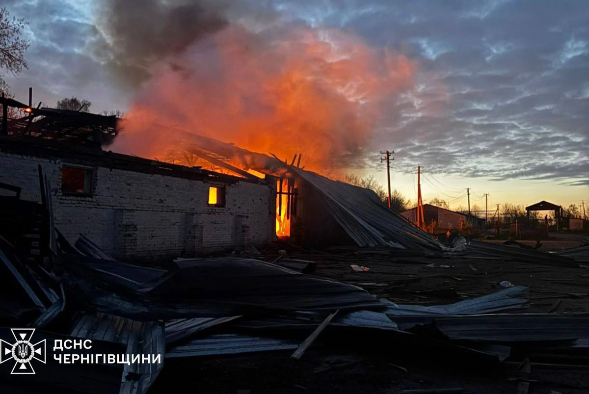 The aftermath of the Russian strikes on farm businesses in Chernihiv Oblast