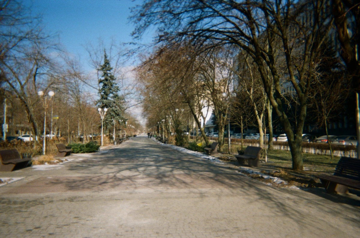 Бульвар Марїї Примаченко