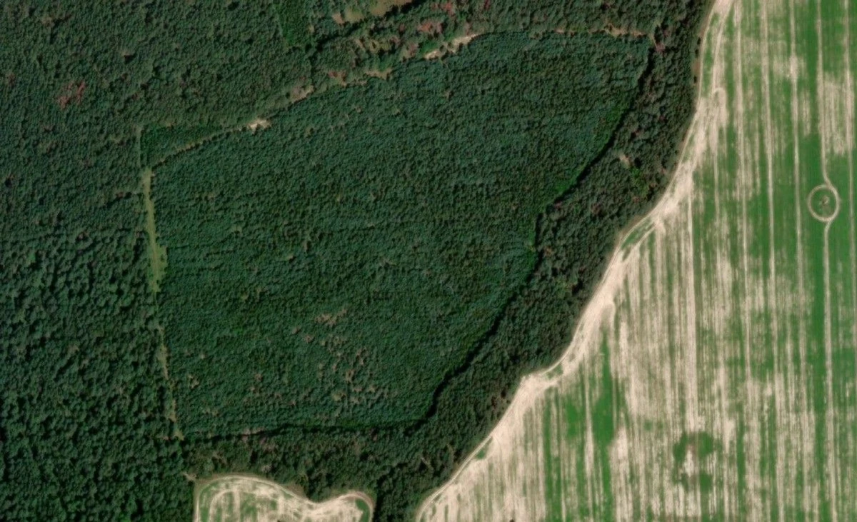 Photo: World Imagery Wayback