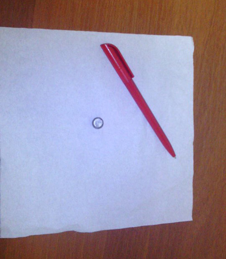 Фото: Facebook Медуниці