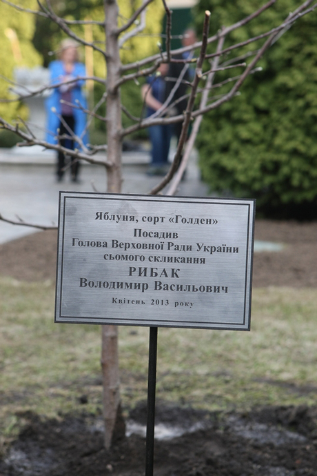 Фото с сайта Верховной Рады