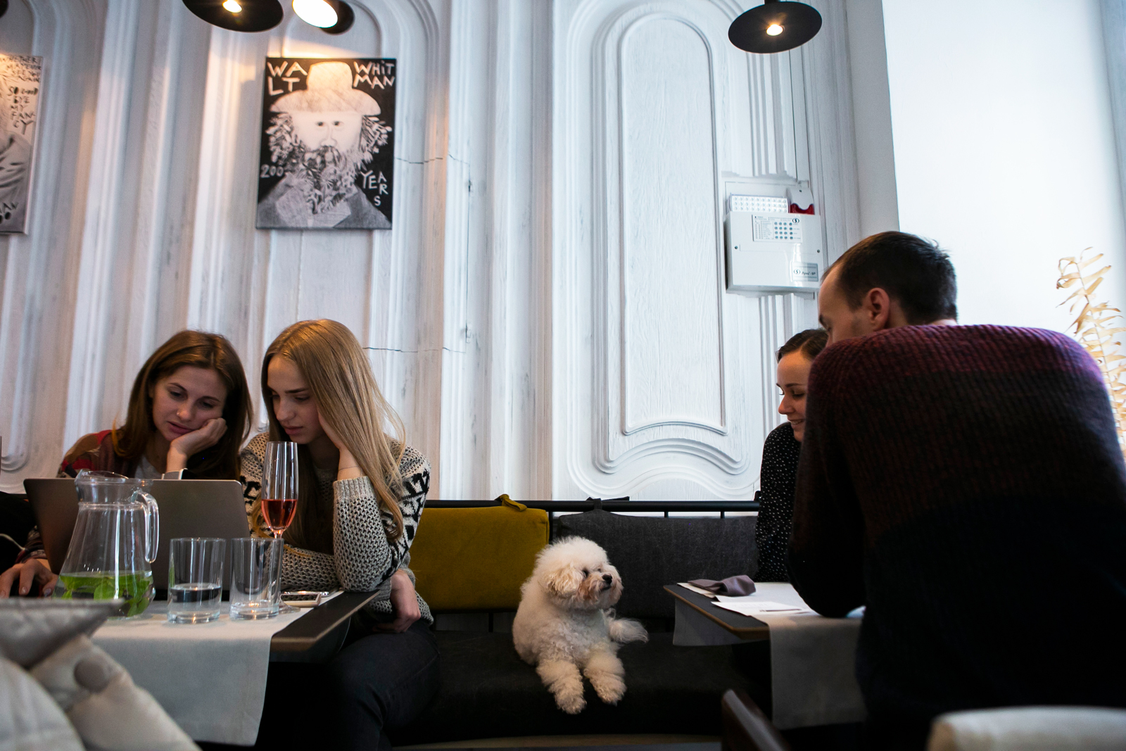 pasetiteli restarana v kharkove