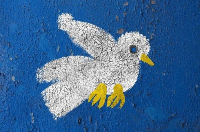 White dove. Photo: Polina Raiko Charitable Foundation