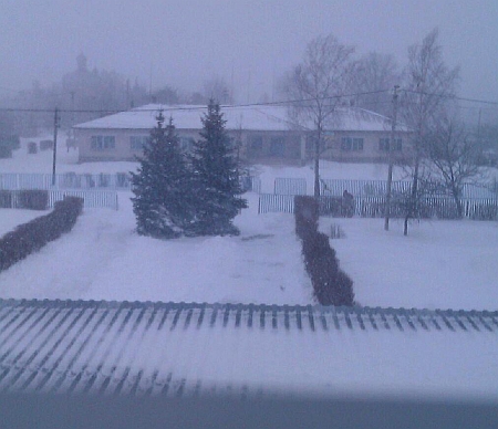 Гірники з Твітера AleNKovch 