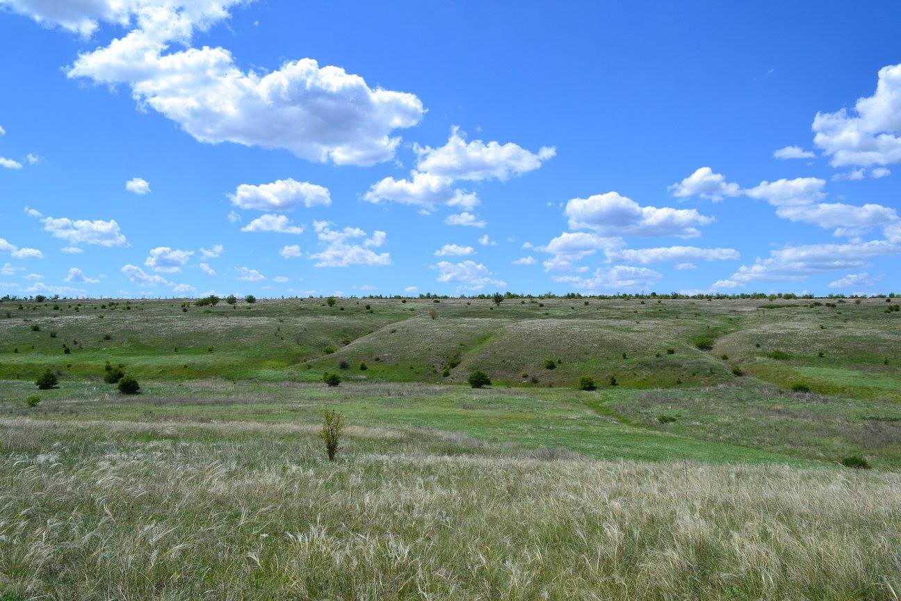 Заповідник 