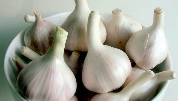 В России хотят запретить чеснок В России хотят запретить чеснок