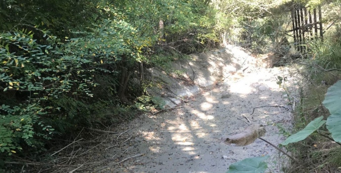 Висохле русло річки Танасу