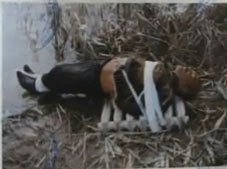 Жертва Демішкана. З матеріалів слідства