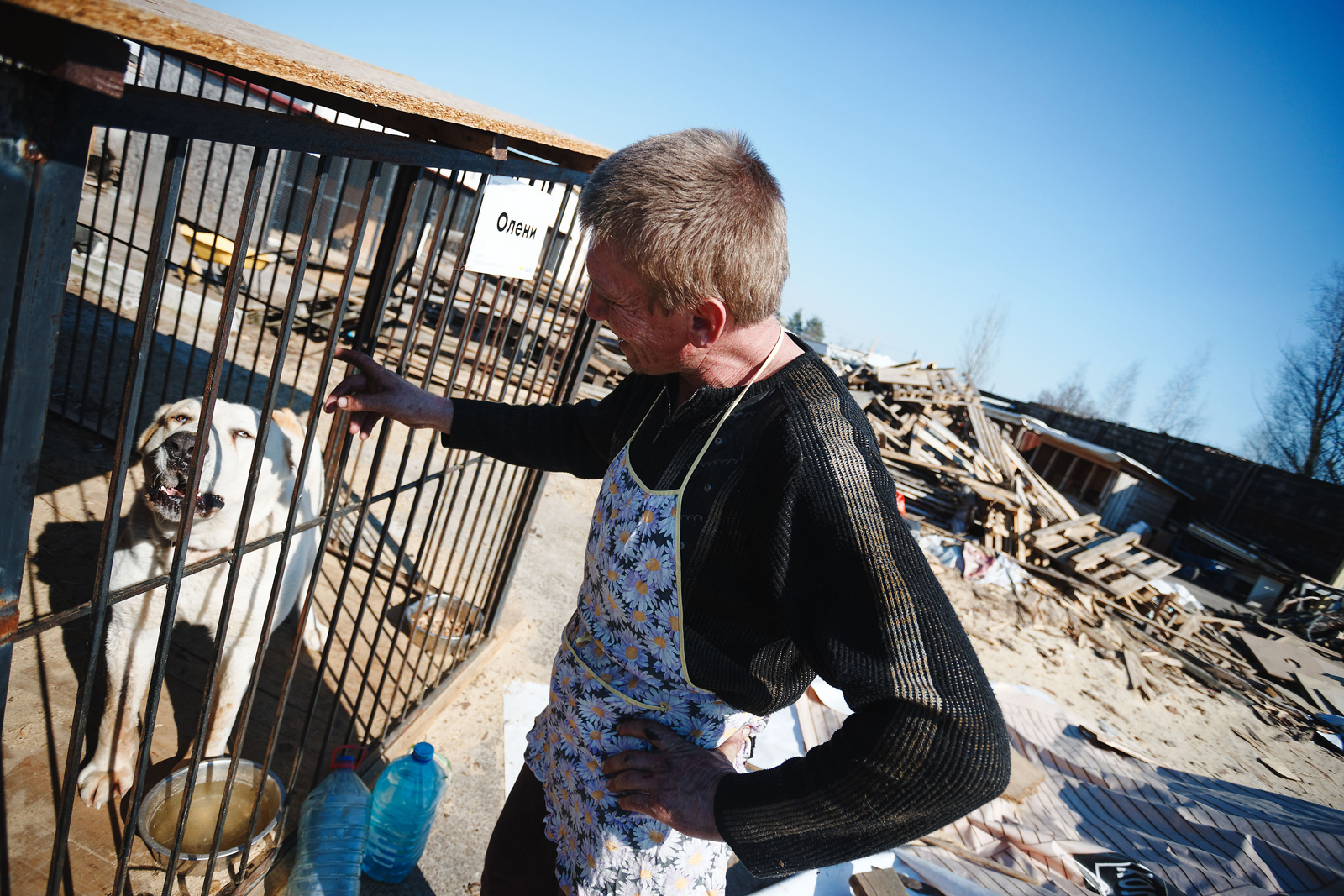 prytulok u kyyvskiy oblasti