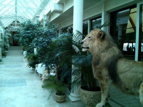 Зимний сад Януковича