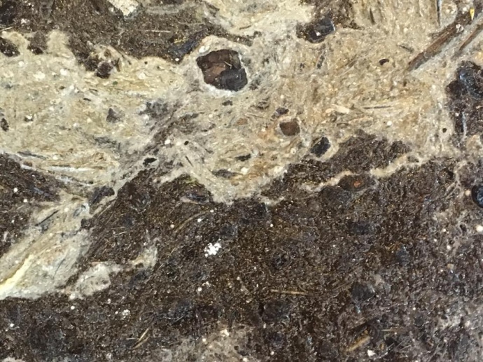 бруд із дощової каналізації