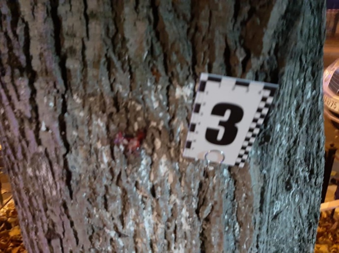 Внаслідок вибуху на вулиці Пушкінській у центрі Києва загинуло двоє чоловіків та поранена жінка.