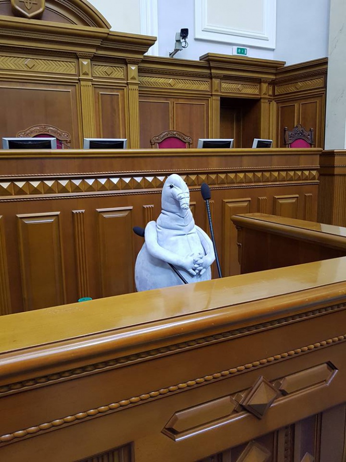 Почекун у Раді