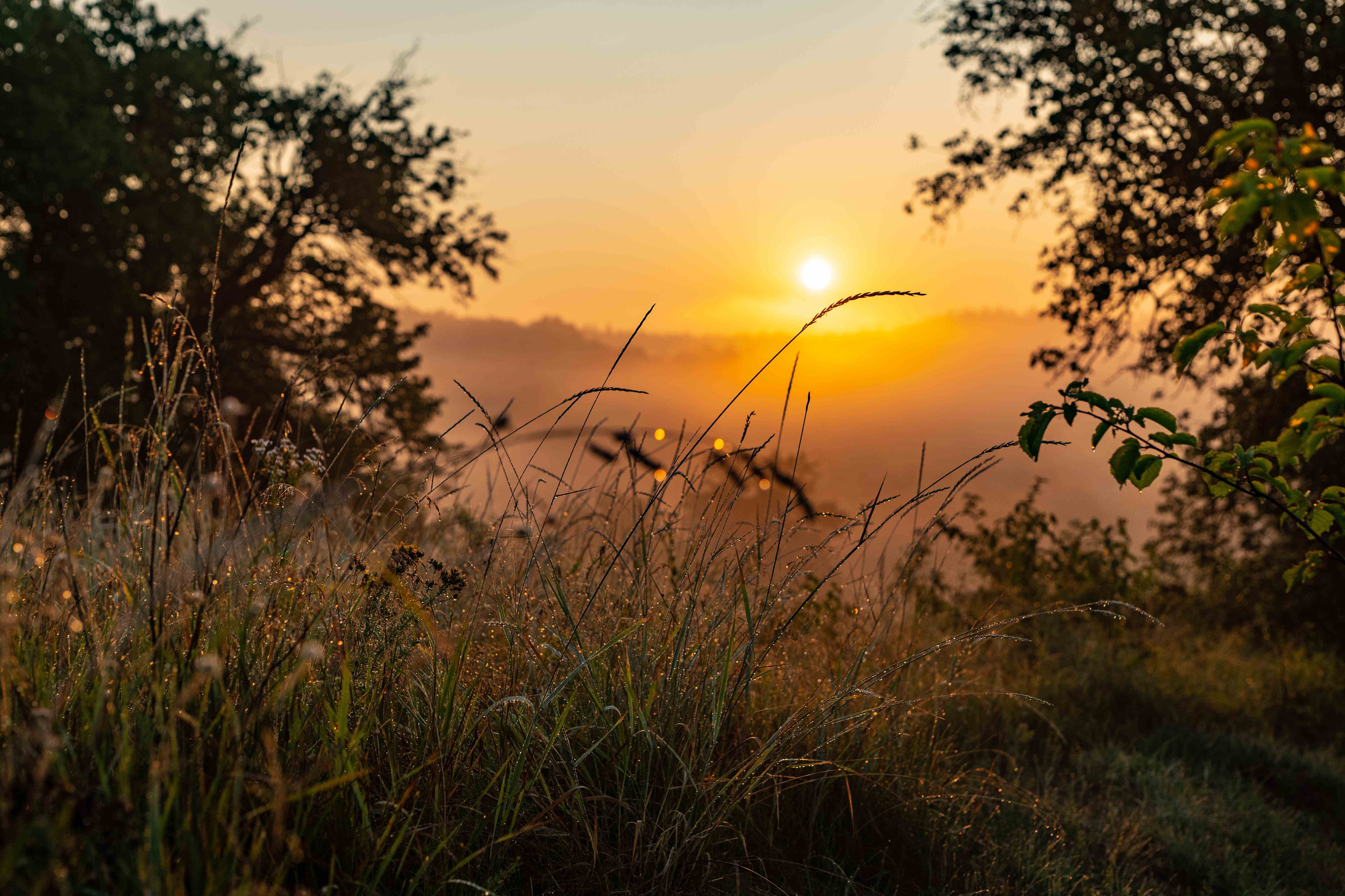 В Холодному Яру легко сплутати минуле з сьогоденням, схід сонця з заходом