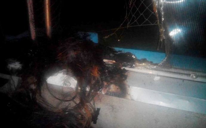 Поджоги в Луцке